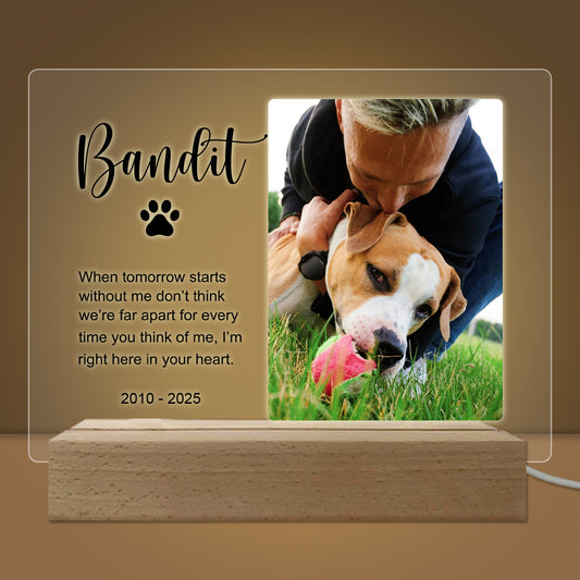 Pet Memorial Custom Photo LED Wooden Base, Pet Sympathy Gift, Personalized Gifts for Pet Loss