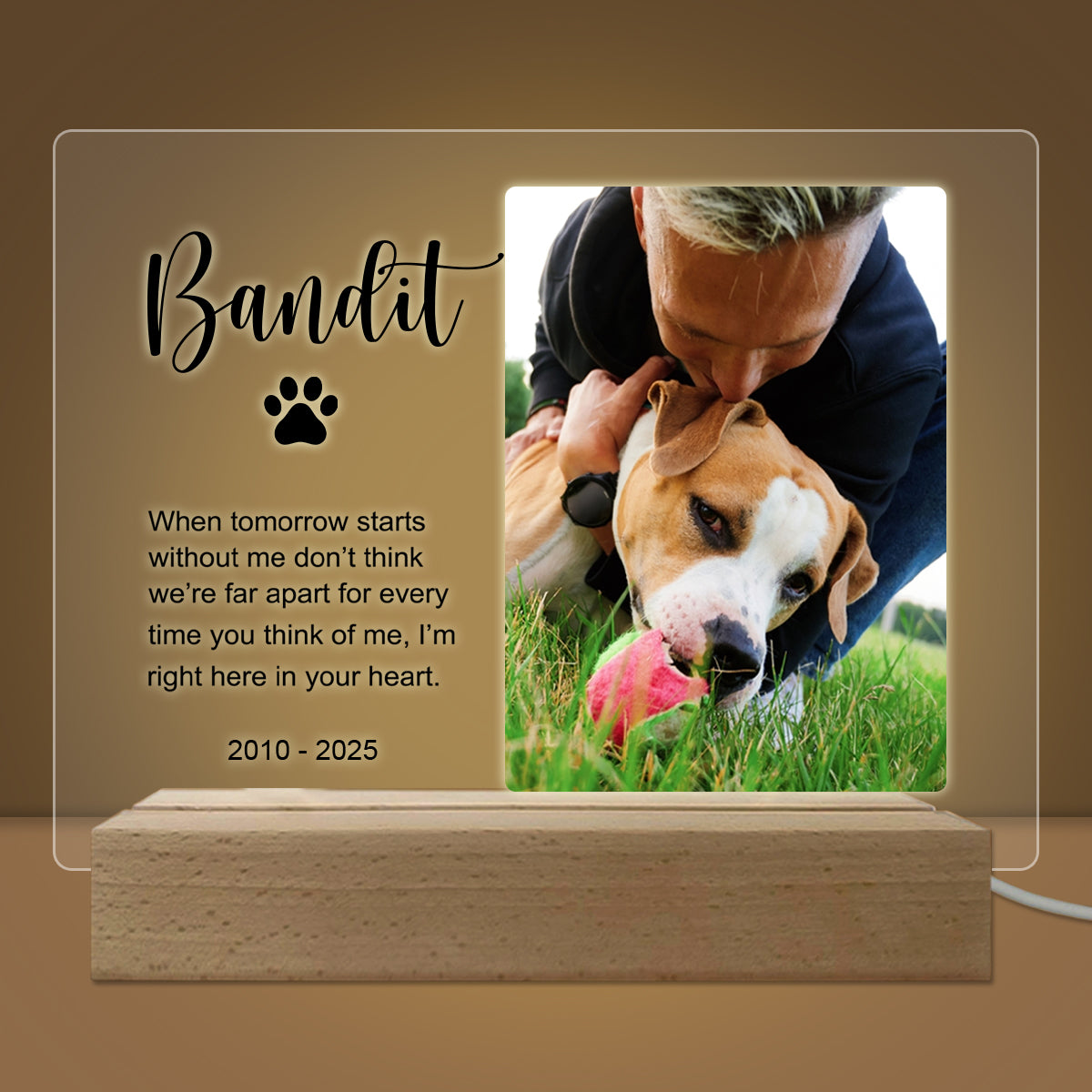 Pet Memorial Custom Photo LED Wooden Base, Pet Sympathy Gift, Personalized Gifts for Pet Loss