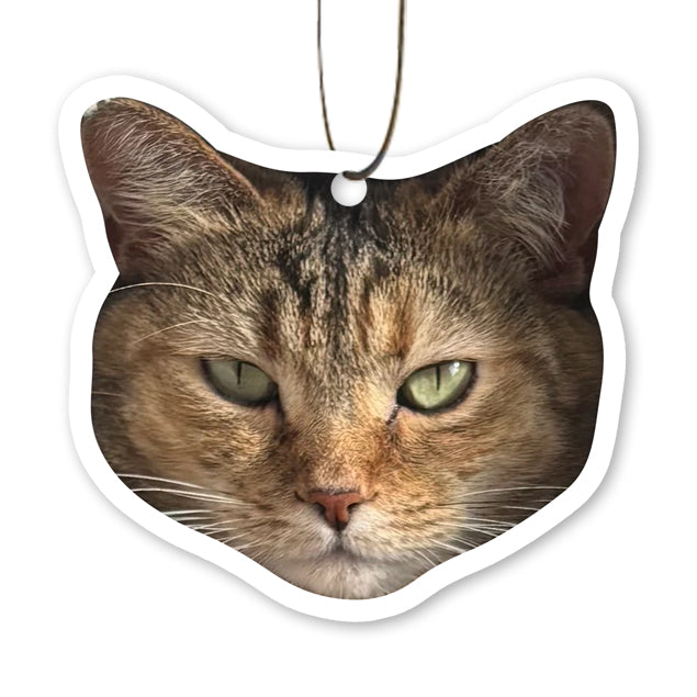 Custom Air Freshener from Photo - Air Freshener - Car Accessories for Boyfriend Birthday Gift for dad, Gift For Dog Lover