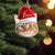 Cat Funny Christmas Face With Christmas Hat - Personalized Cat Photo Shape Ornament Christmas Gift For Cat Lovers