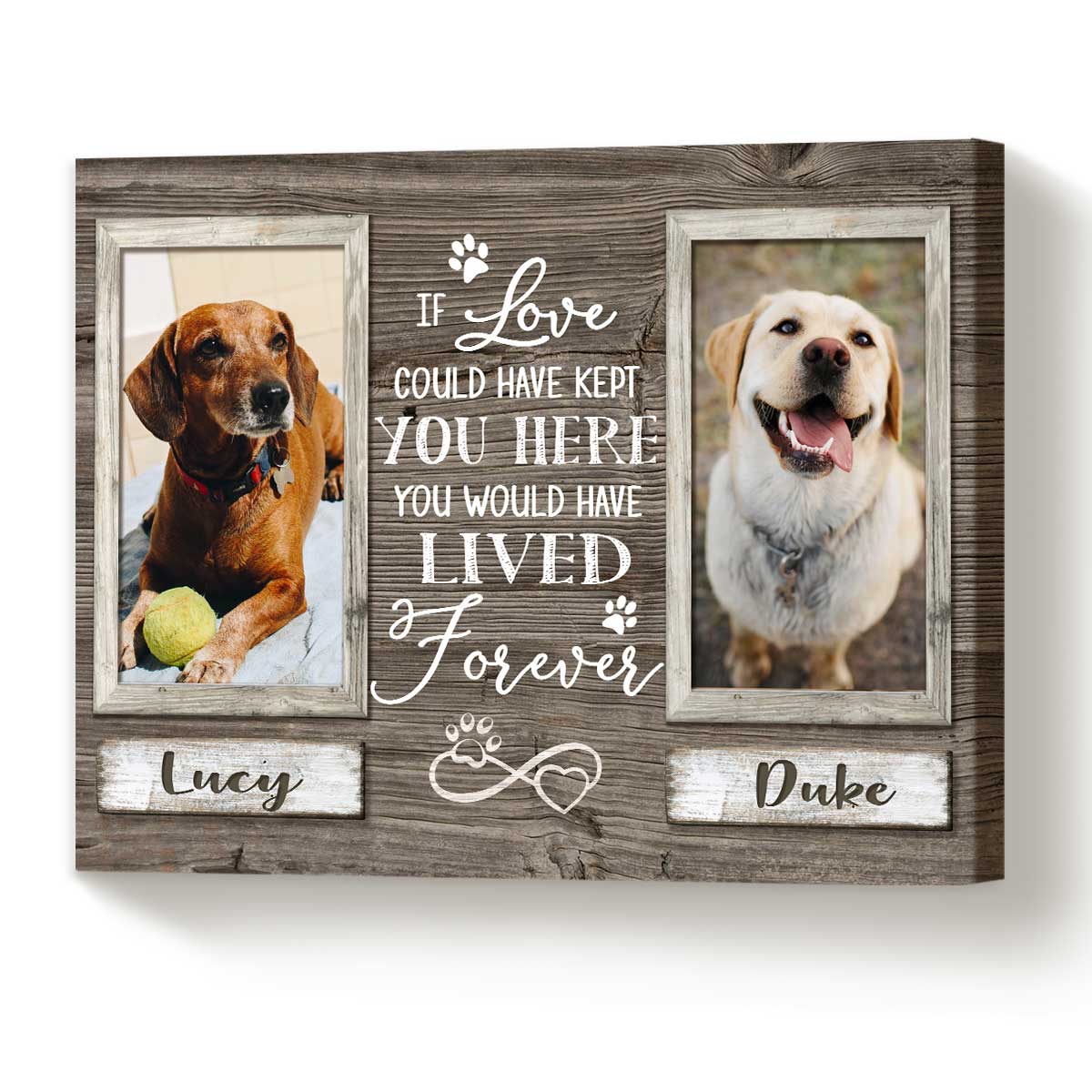 Pet Memorial Gifts, Sympathy Gifts For Pet Loss, Double Photo Dog Canvas