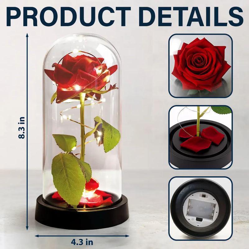 Custom Photo Couple I'd Find You Sooner And Love You Longer - Personalized Everlasting Rose Dome Lamp