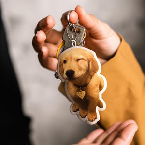 Custom Pet Pillow Keychain Name and Photo Keychains Gifts For Pet Lovers Custom Ugly Dog Pillow Keychain , Personalized Funny Pet Photo Pillow Keychain, Pet Memorial, Funny Ugly,Pet Loss Gift