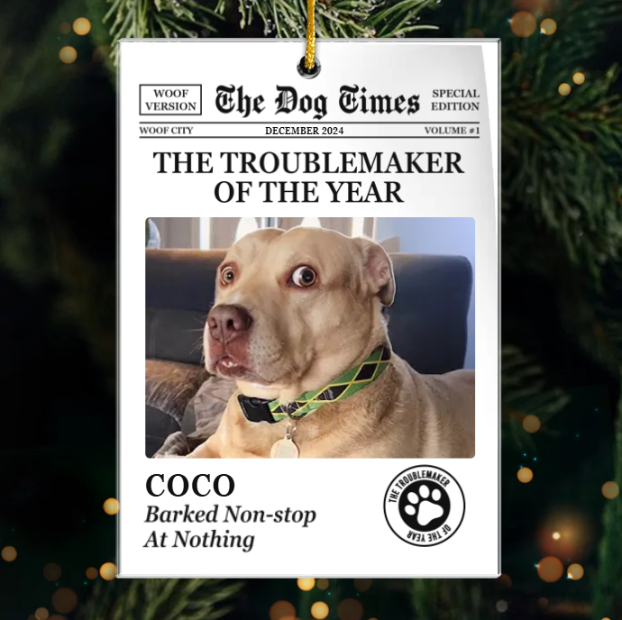 Custom Photo Paws, Love, And Endless Joy - Dog & Cat Personalized Custom Ornament - Acrylic Custom Shaped - Christmas Gift For Pet Owners, Pet Lovers