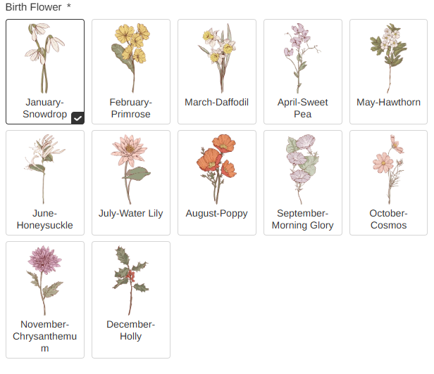 Personalised Family Watercolor Birth Flower Painting Cushion Throw Pillow Cover with 1-8 Names Mother's Day Birthday Gift for Grandma Mother