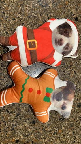 Custom Santa Snowman Custom Photo Dog Cat Personalized Custom Shape Pillow with Your Dog Cat Face Photo for Christmas Pet Lovers Gift