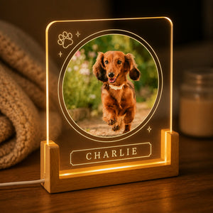 Custom Pet Photo LED Night Light with Name & Paw Accent - Personalized 3D LED Light Wooden Base a0902dc8-ff16-4987-a1af-8011597d8a43.jpg