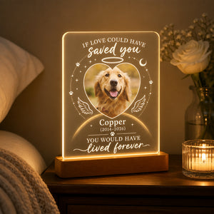 Pet Memorial Acrylic Night Light – If Love Could Have Saved You - Personalized Acrylic Night Light a153fa8a-7db2-4c03-b12f-a50b430ead30.jpg