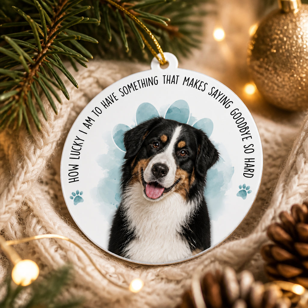 Pet Memorial Photo Ornament – "How Lucky I Am…" - Personalized Aluminum Ornament a1d33de0-a5b4-48bf-b6f6-d984a1421184.jpg