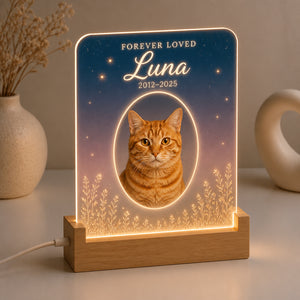 Custom Pet Memorial Acrylic Night Light – Photo, Name & Years - Personalized Acrylic Night Light a215aacd-d949-4f00-85d3-590d70e87f35.jpg