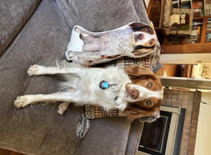 Custom 3D Pet Pillow : Personalized Dog, Cat or Any Photo Personalized Plush Pet Lover Gift Memorial Pillow a2fc77d6-5ce0-415b-8d47-85e5a4b138f0-il_1588xN.8400768724_jsf3.jpg