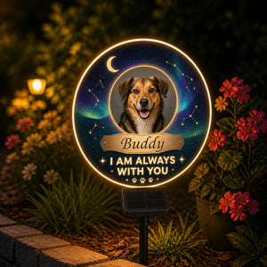 Pet Memorial Solar LED Sign – I Am Always With You (Photo + Name) - Personalized Cut Metal Sign Led Solar a3c15c40-bca8-42c0-b8ec-d2f92d9d27cc.jpg