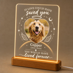 Pet Memorial Acrylic Night Light – If Love Could Have Saved You - Personalized Acrylic Night Light a3e49c9f-fed3-4828-8468-b47d89d5c5d9.jpg