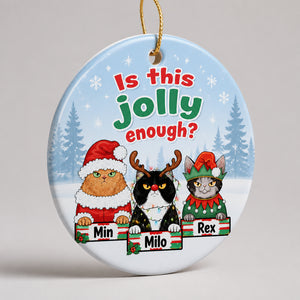 Is This Jolly Enough? Custom Pet Portrait Ornament (3 Pets) - Personalized Ornament a45edf78-56a4-4649-a4bc-c46ad2a304d4.jpg