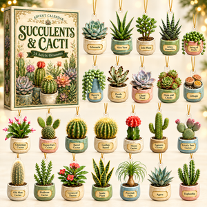 Succulents & Cacti Advent Calendar 2026 - 24-Day Festive Countdown, Acrylic Charms Blind Box - Gift For Nature Lovers a59daed5-1464-42ca-8717-14dddcfed7d6-succulent-box-charms.png