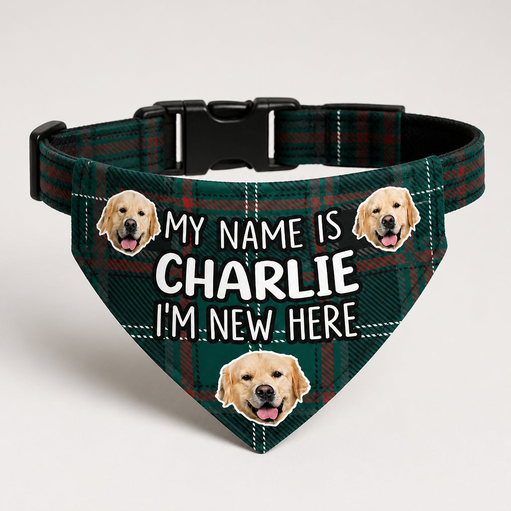 New Puppy Intro Photo Bandana – My Name Is [Pet Name] - Personalized Pet Bandana Collar With Adjustable Buckle a603db03-4207-4adb-80b2-851d716ba9a1.jpg