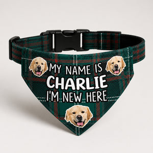 New Puppy Intro Photo Bandana – My Name Is [Pet Name] - Personalized Pet Bandana Collar With Adjustable Buckle a603db03-4207-4adb-80b2-851d716ba9a1.jpg