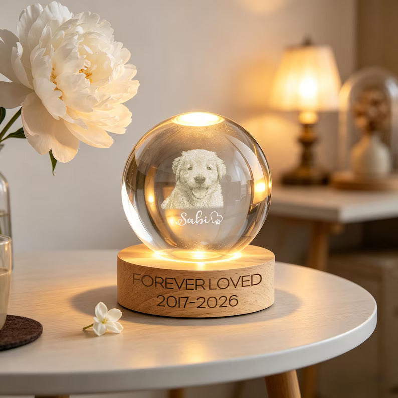 Custom Pet Memorial Night Light,Personalized Pet Portrait Crystal Ball Night Light,Photo Crystal Light,Pet Loss,Pet Memorial Gift for Dog a61ba56f-9a13-4c48-b1fc-fcf9bcadcda0-fghgfhgf-2-.jpg