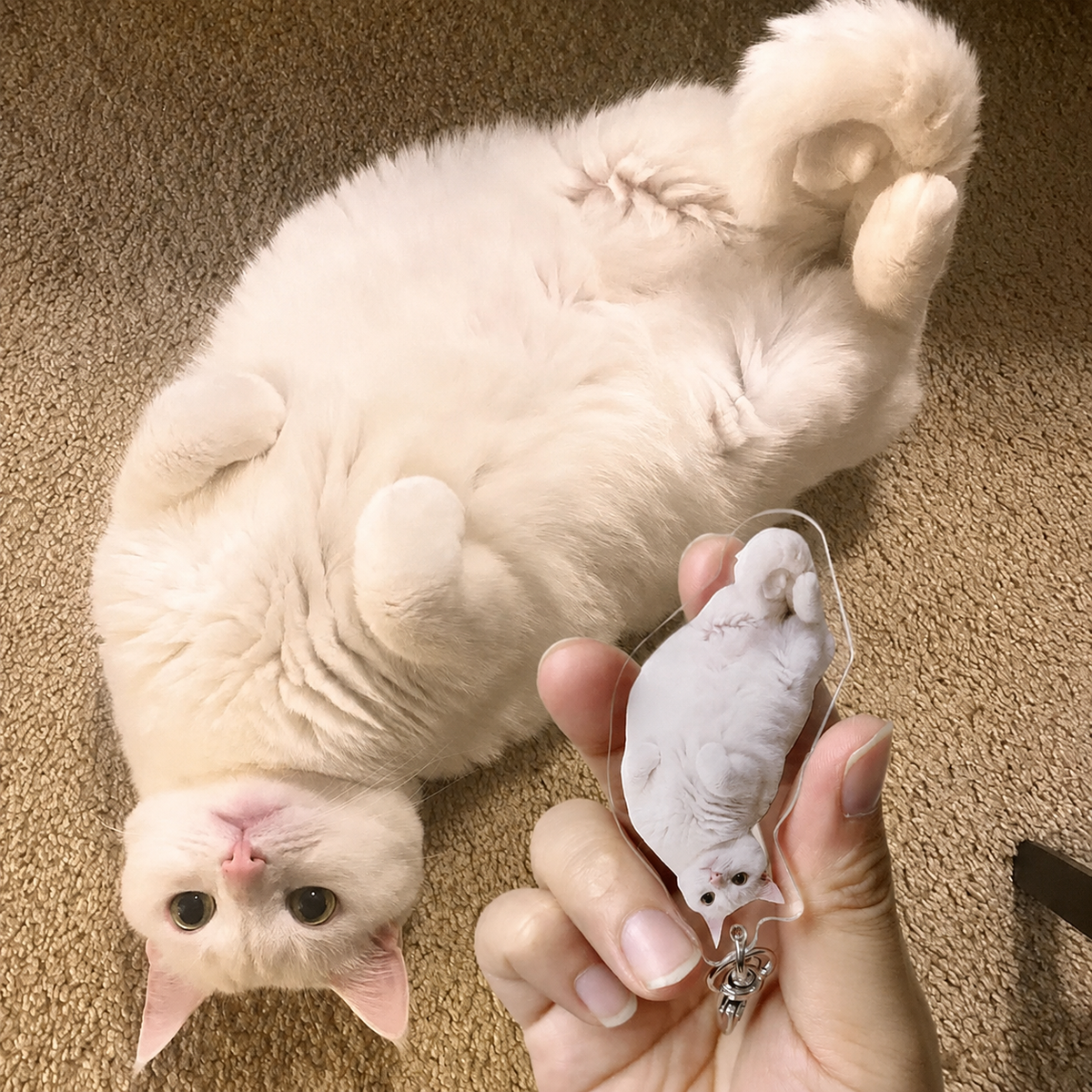 Custom Dog Keychain, Pet Keychain, Personalized Cat Photo Keychain, Dog Keychain, Holiday Gift for Pet Lovers, Dog Memorial Gift a8762e51-27fb-4a00-9947-7815351f80af-5aabd4d8-a600-4947-bce3-06361a3e948b.png