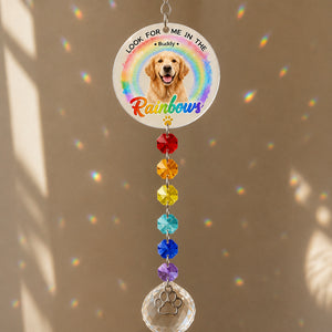 Pet Memorial Rainbow Photo Suncatcher with Paw Charm - Personalized 1 Layered Suncatcher with Charm a8bbc39e-3fdd-4a89-ab16-d47a2a6e742a.jpg