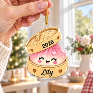 Personalized Squishy Ornament, Custom Dumpling Name Keepsake, Cute Kawaii Christmas Gift, 2026 Kids Decor a9cf194f-0061-4a68-8b61-b11ff796aca6-09df98bf-5b02-4e90-968e-59fc5f2d3bc6.png