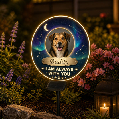 Pet Memorial Solar LED Sign – I Am Always With You (Photo + Name) - Personalized Cut Metal Sign Led Solar a9f6134b-97af-4116-a4b1-e7f5f9b0687e.jpg