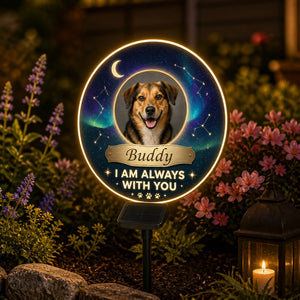 Pet Memorial Solar LED Sign – I Am Always With You (Photo + Name) - Personalized Cut Metal Sign Led Solar a9f6134b-97af-4116-a4b1-e7f5f9b0687e.jpg