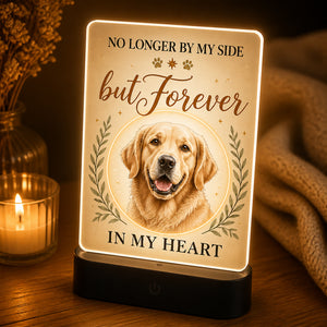 Pet Memorial Acrylic Night Light — No Longer By My Side - Personalized Acrylic Night Light aa8e3317-67bb-4b90-90f6-29c7572d0d45.jpg