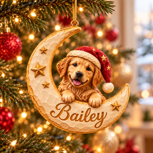 Personalized Dog Christmas Ornament – Custom Pet Photo & Name, 3D Relief Crescent Moon & Stars Ornament, Christmas Gift for Dog Lovers aa945b13-5da9-496d-96d3-41dfce5520cf-Bailey-Crescent-Puppy-Christmas-Ornament-1.png
