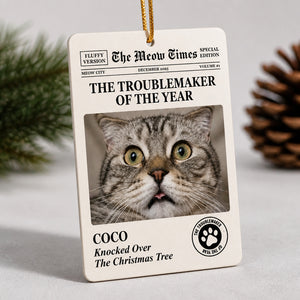 Cat Chronicle Troublemaker Of The Year – Custom Pet Photo Ornament - Personalized Aluminum Ornament ab0227f5-d336-4c7e-94be-08d7ae58140b.jpg
