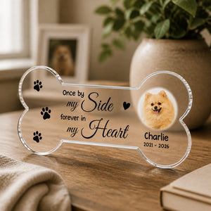Pet Memorial Bone Acrylic Plaque – Once by My Side, Forever in My Heart (Photo + Name & Years) - Personalized Custom Shape Acrylic Plaque ab50b5cd-2f53-4cd1-bfae-e91e1c05c6a5.jpg
