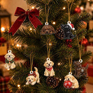Custom Lab Dog Advent Calendar With 24 Charms, Personalized Labrador Mom Xmas Present, Holiday Pet Countdown Decor abbe479b-912a-42c7-8e33-075515cbb029-il_1588xN.8617671005_mv9l.jpg