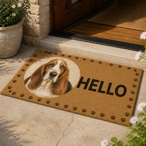 HELLO Basset Hound Welcome Doormat - Doormat ac4ef354-c049-45d3-8806-d775c147a32b.jpg