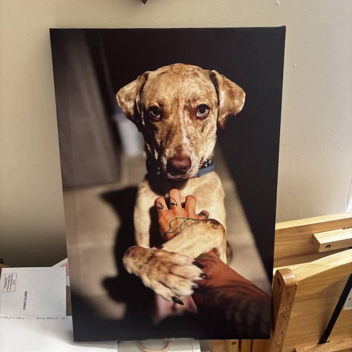 Personalized Photo Canvas Print: Custom Family Portrait Wall Art ac4f4e7c-6ddf-4eae-9487-73612ff766c7-iap_1200x1200.8421812104_ed9pfxhm.jpg