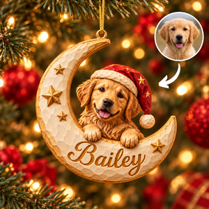 Personalized Dog Christmas Ornament – Custom Pet Photo & Name, 3D Relief Crescent Moon & Stars Ornament, Christmas Gift for Dog Lovers ac5f96bc-2475-45d7-a05d-f4ab29b19d6c-Bailey-s-Crescent-Moon-Christmas-Ornament.png