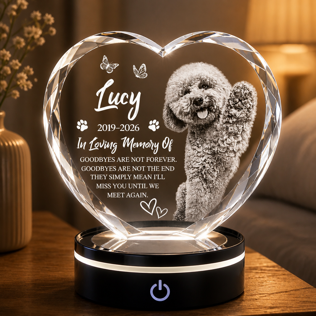 Custom Pet Memorial Acrylic Night Light – Photo, Name & Years - Personalized Acrylic Night Light ad10c163-bf42-4cee-8dc0-07acd9b079f4.png
