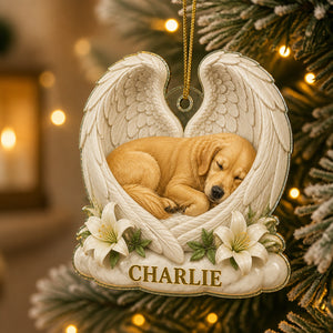 Angel Wings Pet Memorial Ornament — Photo Portrait + Name - Personalized Ornament ad233aaf-e0d4-422d-8e13-df071b09fa21.jpg