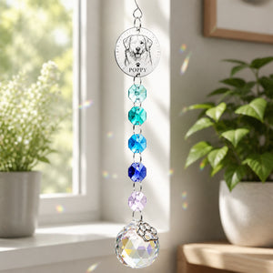 Custom Pet Portrait Rainbow Suncatcher with Name - Personalized 1 Layered Suncatcher with Charm ad2d316b-7f53-4ccb-8261-12c45936eb4f.jpg