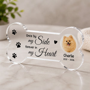 Pet Memorial Bone Acrylic Plaque – Once by My Side, Forever in My Heart (Photo + Name & Years) - Personalized Custom Shape Acrylic Plaque ad3f1569-c01a-4e02-90b2-5f8c564a26b4.jpg