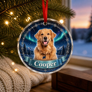 Custom Pet Photo Winter Night Acrylic Ornament - Personalized Transparent Acrylic Ornament ae49f59e-a92d-4d88-b3c3-dd3f4c24c79a.jpg