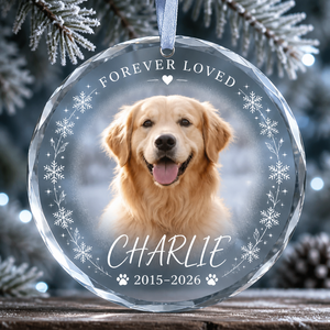 Forever Loved Pet Memorial Crystal Ornament - Personalized Crystal Ornament b4a9fee6-5ffc-4fdc-b231-99859d12a61d.png