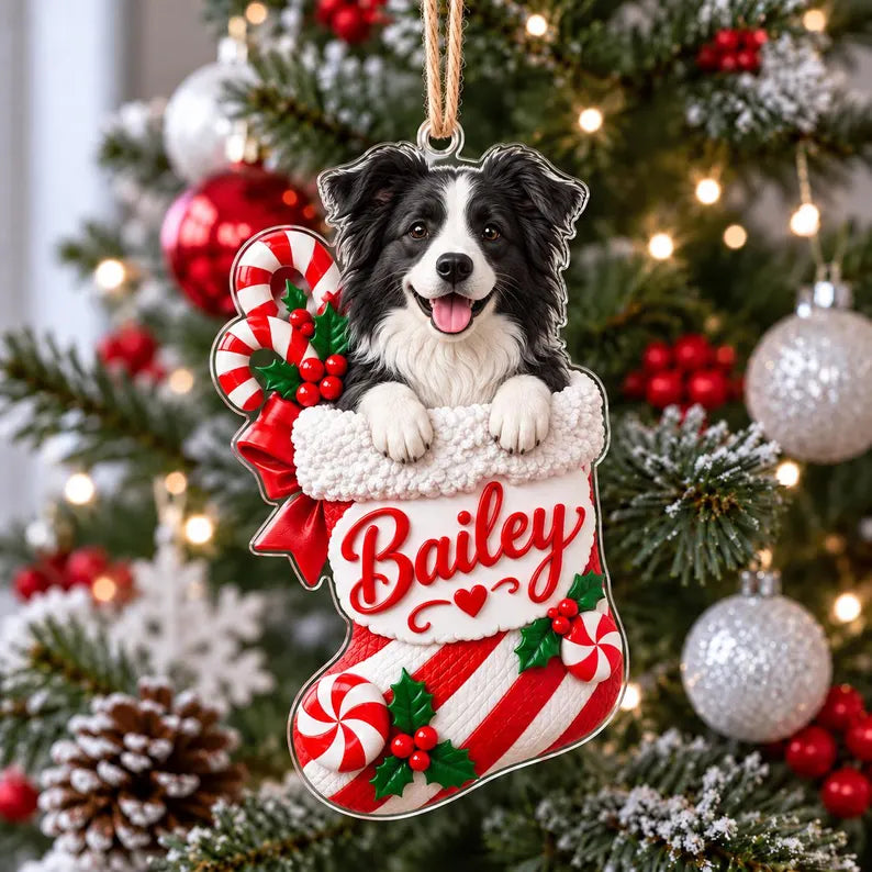 Personalized Pet Photo Ornament, Custom Acrylic Christmas Pet Stocking Keepsake b669541a-164b-465d-b9c2-4bc05712e14a-gfgffg-2-.webp