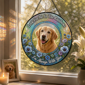 Rainbow Bridge Pet Memorial Suncatcher - Upload Photo - Personalized Suncatcher Stained Glass b713d0b6-9cb9-4800-9b7b-f1c4b8ba11cb.jpg