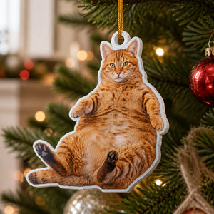 Custom Pet Photo Cutout Ornament – Acrylic Silhouette - Personalized Custom Shape Wood and Acrylic Ornament b834c38b-bcea-4ee6-9e49-43a40454fd73.jpg