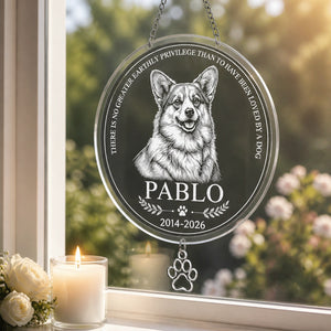 Custom Pet Memorial Stone – Engraved Portrait, Name & Years - Personalized 1 Layered Suncatcher with Charm ba714f18-0450-4b22-ab6e-08c54928f6c2.jpg