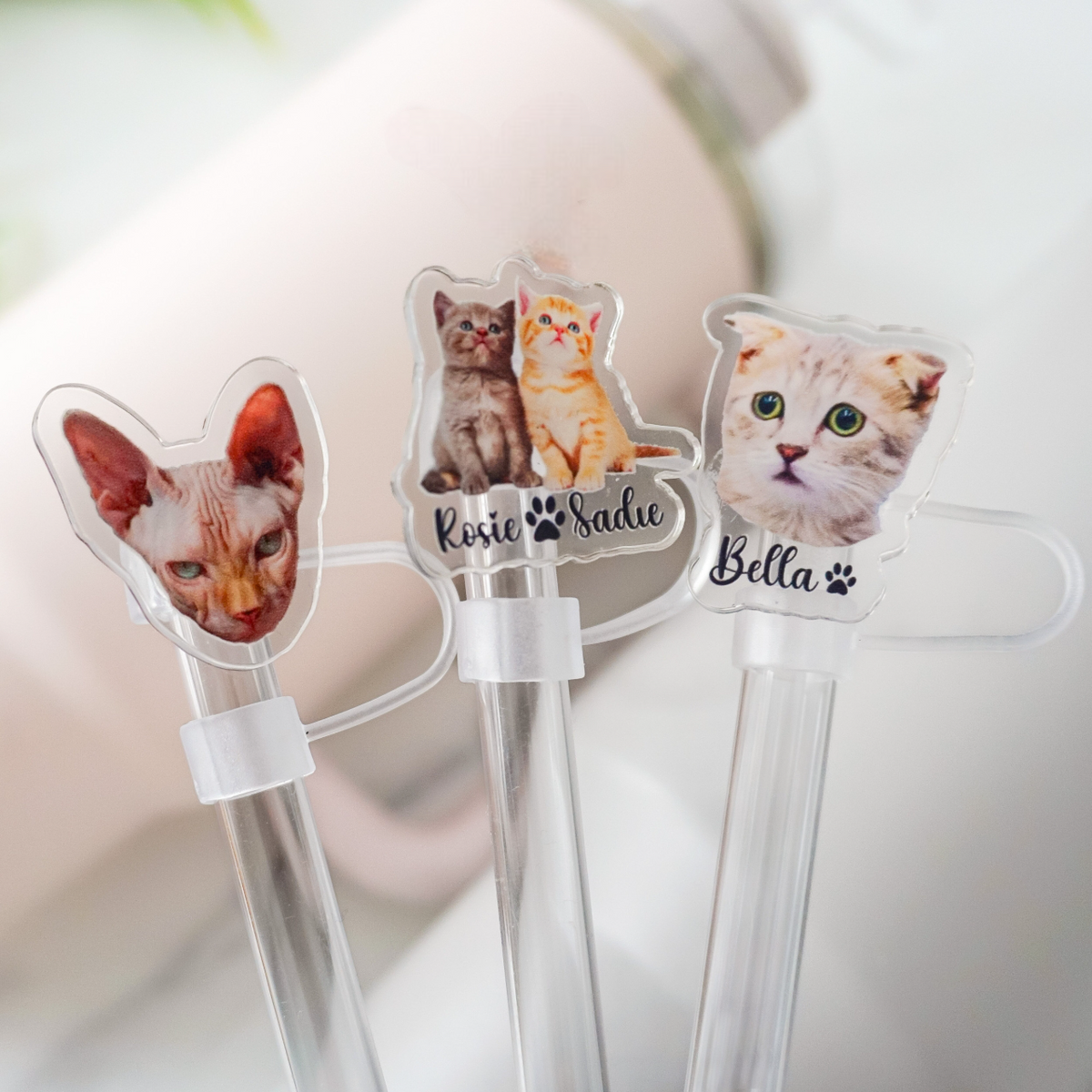 Personalized Gift For Cat Mom, Custom Topper Straw Topper With Photo, Custom Cat Photo Cup Straw Cover, Cat Mom Gifts