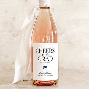 Graduation Gift Champagne Labels, Grad Party Custom Wine Labels, Sorority Seniors Gift, Graduation Party Favor, Nursing School Graduate Gift