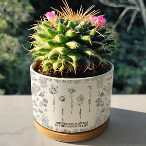 Birth Flower Grow An Old Friend Toile De Jouy Pattern - Personalized Plant Pot - Gift For Friends, Besties, Sisters