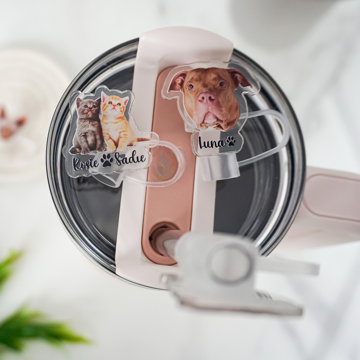 Personalized Gift For Cat Mom, Custom Topper Straw Topper With Photo, Custom Cat Photo Cup Straw Cover, Cat Mom Gifts