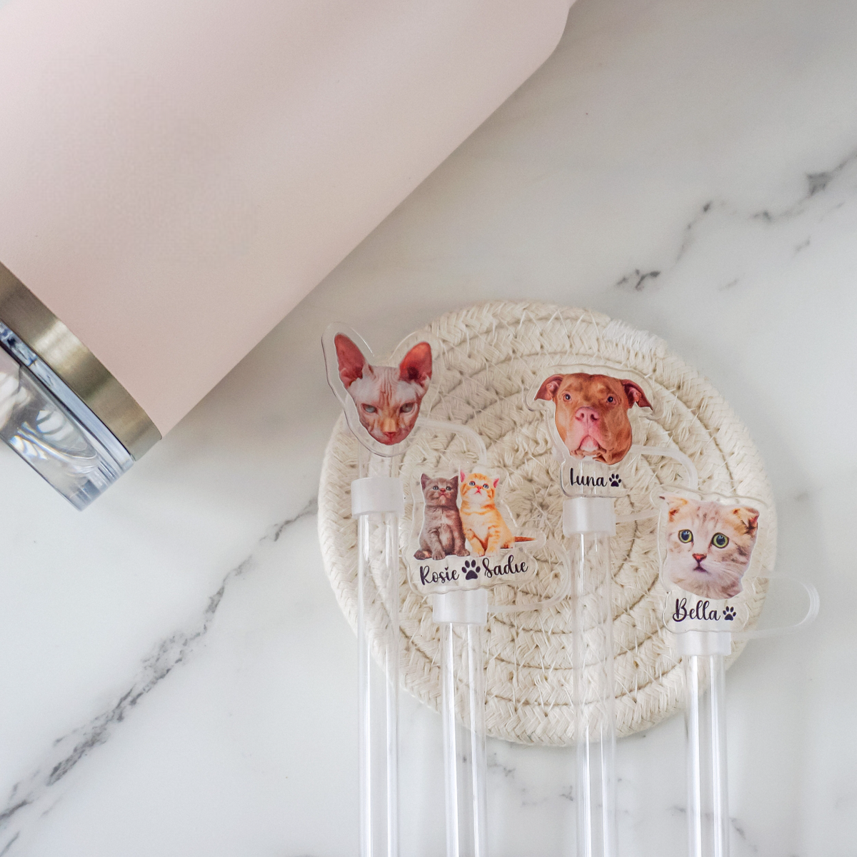 Personalized Gift For Cat Mom, Custom Topper Straw Topper With Photo, Custom Cat Photo Cup Straw Cover, Cat Mom Gifts